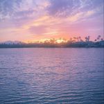 Anthony Macaluso - @anthony_macaluso_enve - Instagram