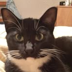 Anthony Maffucci - Facebook