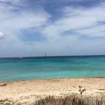 Anthony Magro - @anthonymagro_fish - Instagram