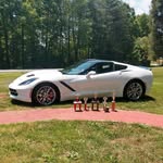Anthony Malloy - @anthony.malloy.771 - Instagram