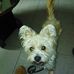 Anthony Mansell - Facebook