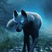 Antony Manzella - Facebook