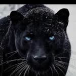 Anthony Marcial - @anthony.marcial.925 - Instagram