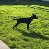 Anthony Marciano - @anthony.marciano - TikTok