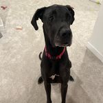 Anthony Maresca - @maresca.anthony - Instagram