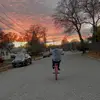 anthony - @anthony_mastropolo - TikTok