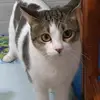 Antony Matto - @antony.matto - TikTok