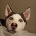 Anthony Mattson - Facebook