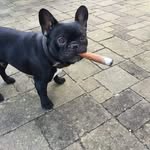 Anthony Matute - @antmatute - Instagram