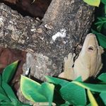 Anthony Maughan - @thelastpanini_69 - Instagram