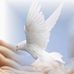 Antony Maughan - Facebook