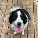 Anthony Maul - @maul3241 - Instagram