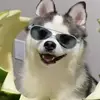 antony maurel - @antony.maurel - TikTok