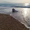 anthonymaussant - @anthonymaussant - TikTok