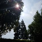 Anthony Mayfield - @anthonymayfield2436 - Instagram