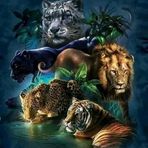 Anthony Mayhew - Facebook