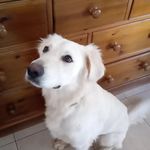 anthony mayle - @crystalpalace1056 - Instagram