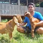 Anthony Mayuga - Facebook