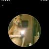 Anthony Mayz - @anthonymayz - TikTok