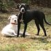 Anthony Mazzoni - Facebook
