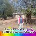 Anthony Mboya - Facebook