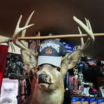 Anthony McAdams - @almoutdoors - Instagram