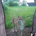 Anthony McAfee - @mcafee.anthony - Instagram