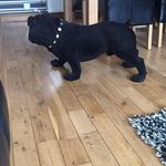 Anthony McAuley - @anthony.mcauley.988 - Instagram