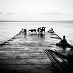 Anthony Mccaleb - @anthonymccaleb - Instagram