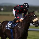 Anthony_McCann_Racing - @anthony_mccann_racing - Instagram