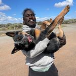Anthony McDonald-Tipungwuti - @mctippa43 - Instagram