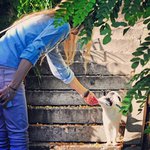 Anthony Mcsweeney - @anthonymcsweeney - Instagram