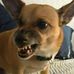 Anthony Mead - Facebook