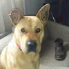 anthony mead - @anthony.mead - TikTok