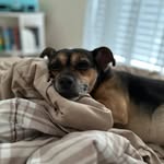 Anthony Meli - @crabbymeli64 - Instagram