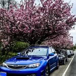 Anthony Melton - @worldrallybluespartan - Instagram