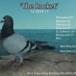 Anthony Micallef - @micallef2265 - Instagram