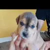 anthonymichaud33318 - @anthonymichaud33318 - TikTok