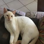 Anthony Milligan - @anthony.milligan.73 - Instagram