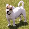 Anthony Milligan - @anthony.milligan - TikTok