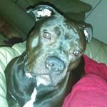 Anthony Moe Moore - @lilmoe2319 - Instagram