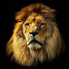 anthonymoeller320 - @anthonymoeller320 - TikTok