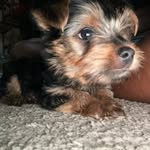 @anthony_moeny_ - Instagram