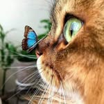 Anthony Mohamed - @govind.mohamed - Instagram