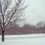 Anthony Mohanraj - @anthonymohanraj - Instagram