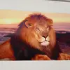 anthonymohan - @anthonymohan - TikTok