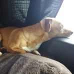 Anthony Mohl - Facebook