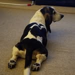 AnthonyMohler - @a.mohler08 - Instagram