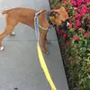 anthonymohr381 - @anthonymohr381 - TikTok