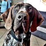 Anthony.MOIROUD - @anthony.moiroud - Instagram